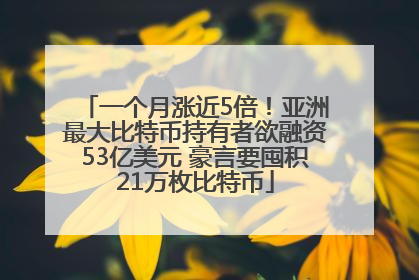 一个月涨近5倍！亚洲最大比特币持有者欲融资53亿美元 豪言要囤积21万枚比特币