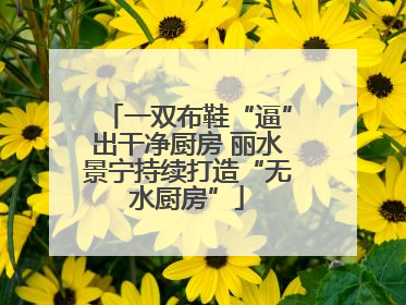 一双布鞋“逼”出干净厨房 丽水景宁持续打造“无水厨房”