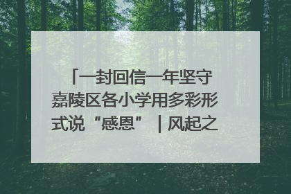一封回信一年坚守 嘉陵区各小学用多彩形式说“感恩”｜风起之江 扶摇直上