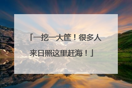 一挖一大筐！很多人来日照这里赶海！