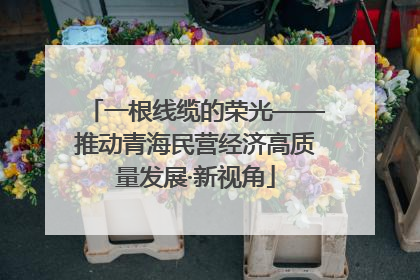 一根线缆的荣光——推动青海民营经济高质量发展·新视角
