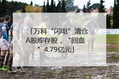 万科“闪电”清仓A股库存股，“回血”4.79亿元