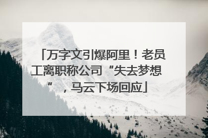 万字文引爆阿里！老员工离职称公司“失去梦想”，马云下场回应