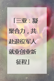 三亚：凝聚合力，共赴退役军人就业创业新征程
