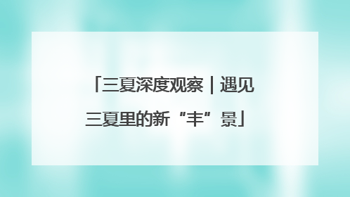 三夏深度观察｜遇见三夏里的新“丰”景