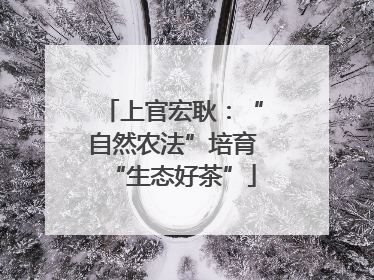 上官宏耿：“自然农法”培育“生态好茶”