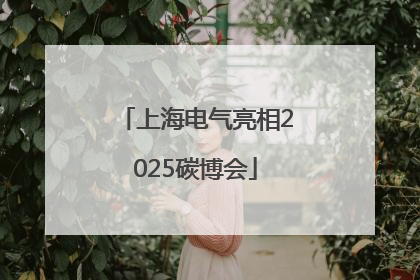 上海电气亮相2025碳博会