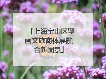 上海宝山区擘画文旅商体展融合新图景