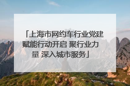 上海市网约车行业党建赋能行动开启 聚行业力量 深入城市服务
