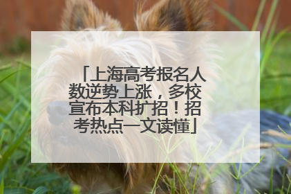 上海高考报名人数逆势上涨，多校宣布本科扩招！招考热点一文读懂