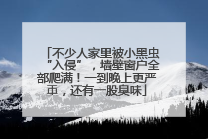 不少人家里被小黑虫“入侵”，墙壁窗户全部爬满！一到晚上更严重，还有一股臭味