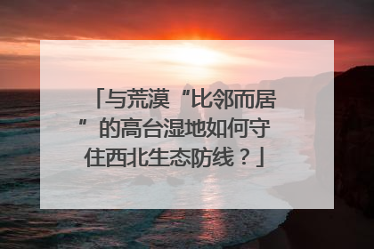 与荒漠“比邻而居”的高台湿地如何守住西北生态防线？