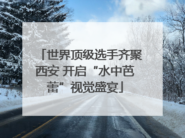 世界顶级选手齐聚西安 开启“水中芭蕾”视觉盛宴