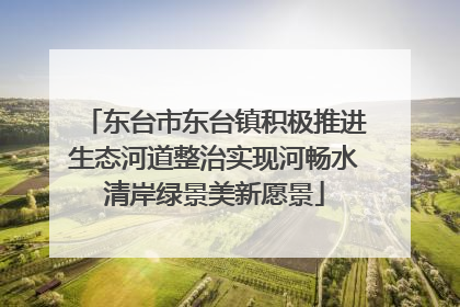 东台市东台镇积极推进生态河道整治实现河畅水清岸绿景美新愿景