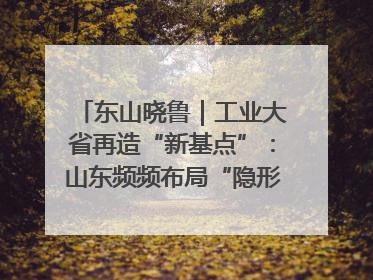 东山晓鲁｜工业大省再造“新基点”：山东频频布局“隐形冠军”背后