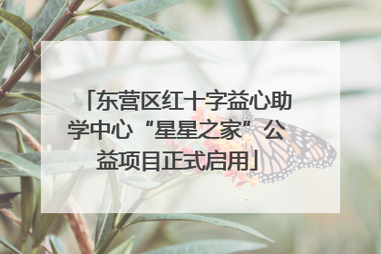 东营区红十字益心助学中心“星星之家”公益项目正式启用