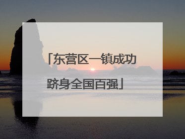 东营区一镇成功跻身全国百强