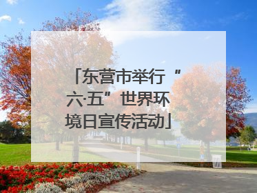 东营市举行“六·五”世界环境日宣传活动