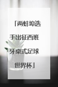 两蚌埠选手出征西班牙桌式足球世界杯