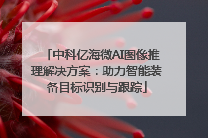 中科亿海微AI图像推理解决方案：助力智能装备目标识别与跟踪