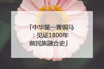 中华第一青铜马：见证1800年前民族融合史