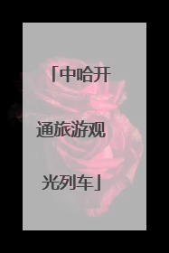 中哈开通旅游观光列车