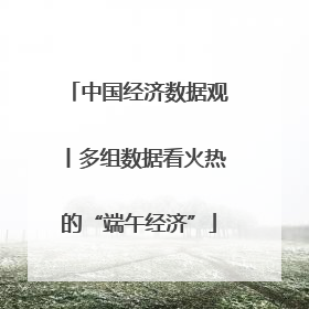 中国经济数据观丨多组数据看火热的“端午经济”