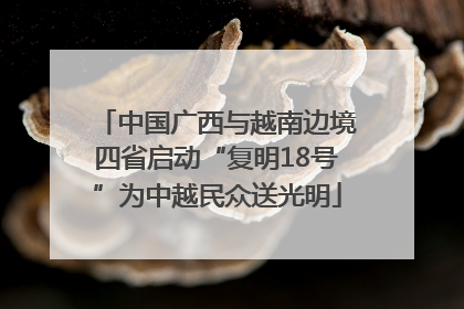 中国广西与越南边境四省启动“复明18号”为中越民众送光明