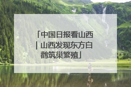 中国日报看山西｜山西发现东方白鹳筑巢繁殖