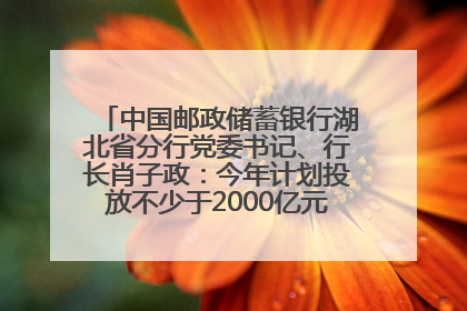 中国邮政储蓄银行湖北省分行党委书记、行长肖子政：今年计划投放不少于2000亿元支持支点建设