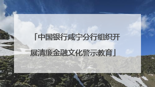 中国银行咸宁分行组织开展清廉金融文化警示教育