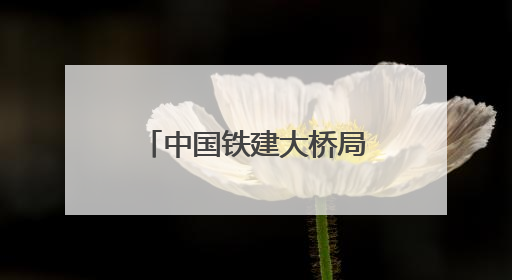 中国铁建大桥局盘兴铁路项目扎实开展“安全生产月”系列活动