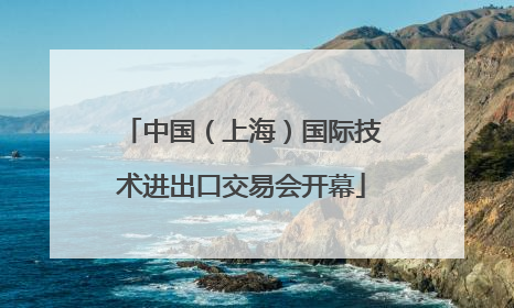 中国（上海）国际技术进出口交易会开幕