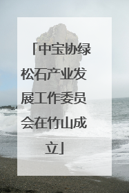 中宝协绿松石产业发展工作委员会在竹山成立