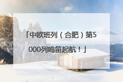 中欧班列（合肥）第5000列鸣笛起航！