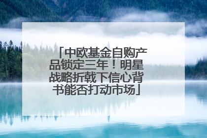 中欧基金自购产品锁定三年！明星战略折戟下信心背书能否打动市场