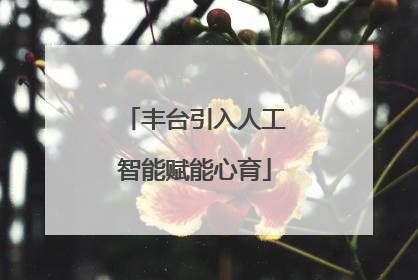 丰台引入人工智能赋能心育