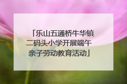 乐山五通桥牛华镇二码头小学开展端午亲子劳动教育活动