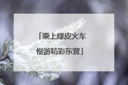 乘上绿皮火车 慢游精彩东营