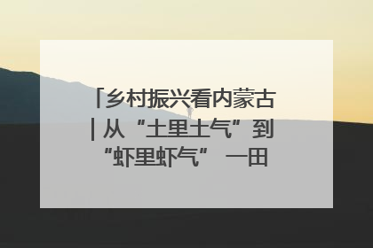 乡村振兴看内蒙古｜从“土里土气”到“虾里虾气” 一田双收模式火出圈