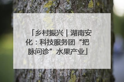 乡村振兴｜湖南安化：科技服务团“把脉问诊”水果产业