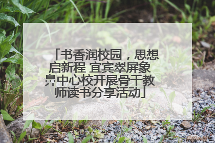 书香润校园，思想启新程 宜宾翠屏象鼻中心校开展骨干教师读书分享活动