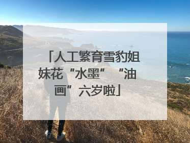 人工繁育雪豹姐妹花“水墨”“油画”六岁啦