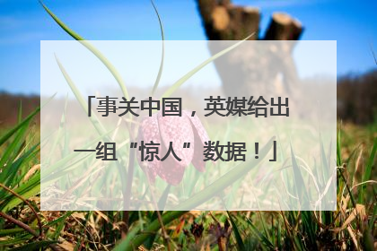 事关中国，英媒给出一组“惊人”数据！