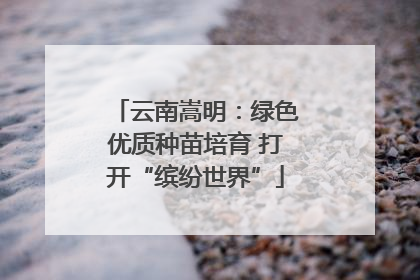 云南嵩明：绿色优质种苗培育 打开“缤纷世界”