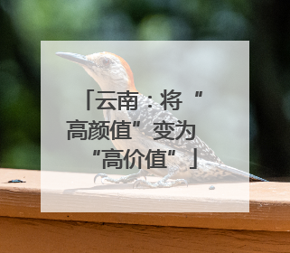 云南：将“高颜值”变为“高价值”