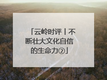 云岭时评丨不断壮大文化自信的生命力②