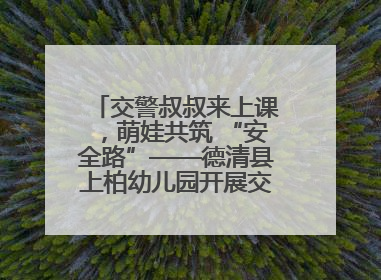 交警叔叔来上课，萌娃共筑 “安全路”——德清县上柏幼儿园开展交通安全课