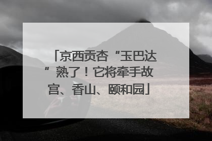 京西贡杏“玉巴达”熟了！它将牵手故宫、香山、颐和园