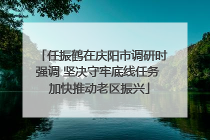 任振鹤在庆阳市调研时强调 坚决守牢底线任务 加快推动老区振兴